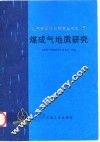 煤成气地质研究 封面