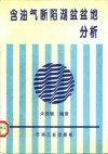 含油气断陷湖盆盆地分析 封面