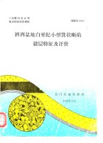 七五期间总公司重点科技攻关课题  酒西盆地白垩纪小型箕状断陷储层特征及评价 封面