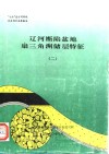 辽河断陷盆地扇三角洲储层成岩作用与孔隙结构研究 封面