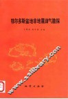 鄂尔多斯盆地非地震油气勘探 封面