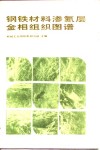 钢铁材料渗氮层金相组织图谱 封面