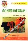 肉牛饲养与疾病防治 封面