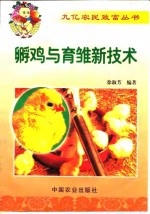 孵鸡与育雏新技术 封面