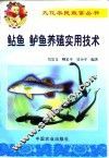 鲇鱼、鲈鱼养殖实用技术 封面