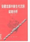 安徽北部中新生代沉积盆地分析 封面