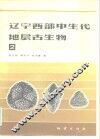辽宁西部中生代地层古生物  2 封面
