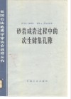 砂岩成岩过程中的次生储集孔隙 封面