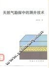 天然气勘探中的测井技术 封面