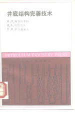 井底结构完善技术 封面