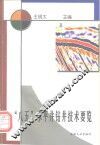 “八五”水平井钻井技术要览 封面