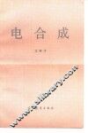 电合成 封面