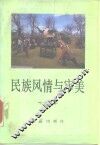民族风情与审美 封面