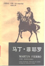 马丁·菲耶罗 封面