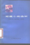 短篇小说选析 封面