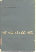 钢铁中的铝 封面