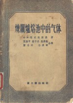 炼钢炉溶池中的气体 封面