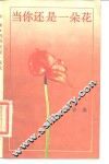 当你还是一朵花 封面