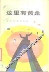 这里有黄金 封面