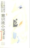 意识流小说理论 封面