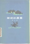 翠绿的晨星 封面