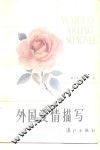 外国爱情描写 封面