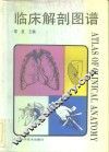 临床解剖图谱 封面