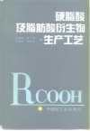 硬脂酸及脂肪酸衍生物生产工艺 封面