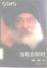 当鞋合脚时 封面