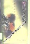 精神之旅  新时期以来的美学与知识分子 封面