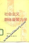 社会主义群体凝聚力学 封面