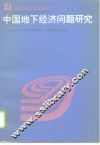 中国地下经济问题研究 封面