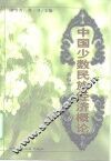 中国少数民族经济概论  新编本 封面