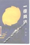 一夜风流 封面
