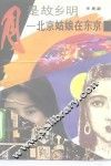 月是故乡明  北京姑娘在东京 封面