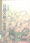 丝路文化  西南卷 封面