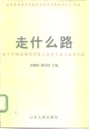 走什么路  关于中国近现代历史上的若干重大是非问题 封面