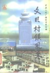 文明村镇风采 封面