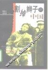 割掉辫子的中国 封面