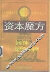资本魔方  企业并购原理与经典案例 封面