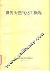 世界天然气化工概况 封面