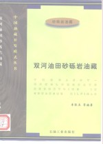 双河油田砂砾岩油藏 封面