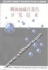 稠油油藏注蒸汽开发技术 封面