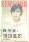 陈燕妮：纽约意识  她在大洋彼岸 封面