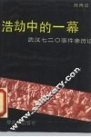浩劫中的一幕  武汉七二○事件亲历记 封面