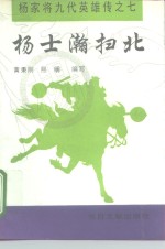 杨士瀚扫北 封面