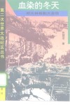 血染的冬天  斯大林格勒大会战 封面