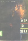 文化的魅力  影视评论三人集 封面
