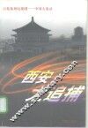 西安大追捕  百集系列电视剧-中国大案录 封面
