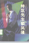 特区先生领风骚 封面